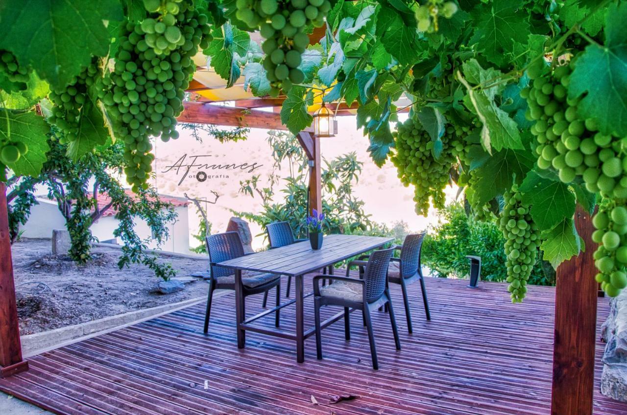 فيلا Mértolaفي Casa Da Oliveirinha المظهر الخارجي الصورة